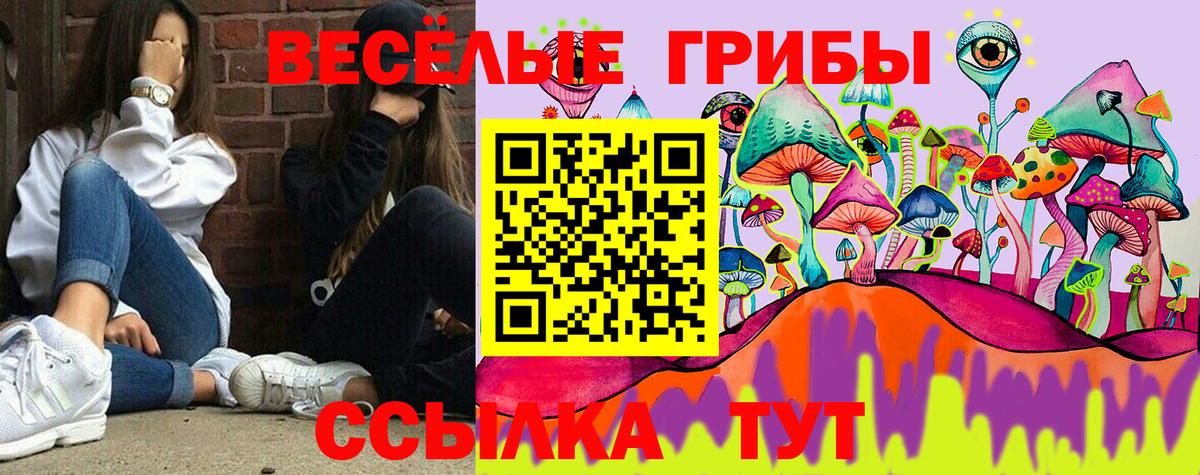 Йошкар-Ола  MDMA  Меф МЯУ МЯУ кристаллы  Вход с VPN  Cocaine  ГАШ 