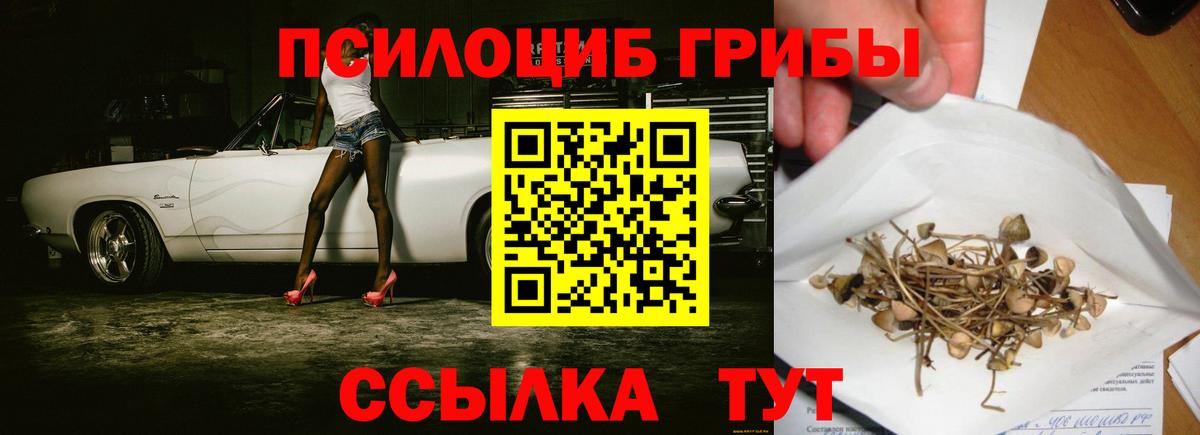 Йошкар-Ола  Псилоцибиновые грибы мицелий  Вход с VPN 